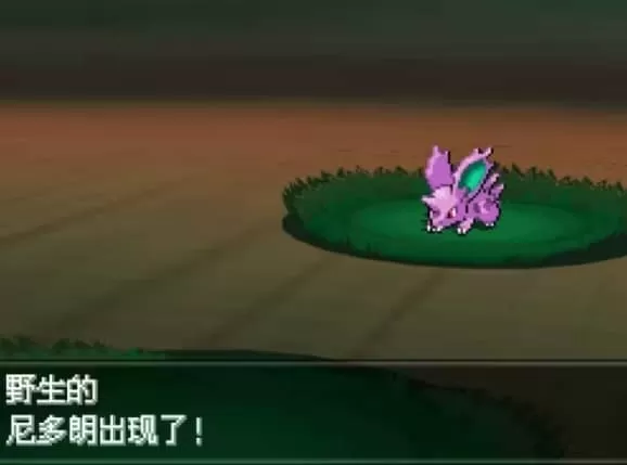 口袋妖怪超透黑