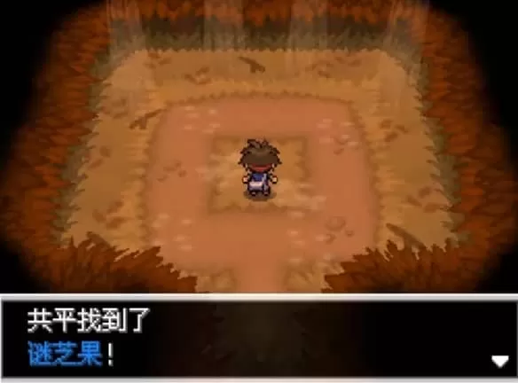 口袋妖怪超透黑