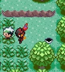 口袋妖怪格查尔