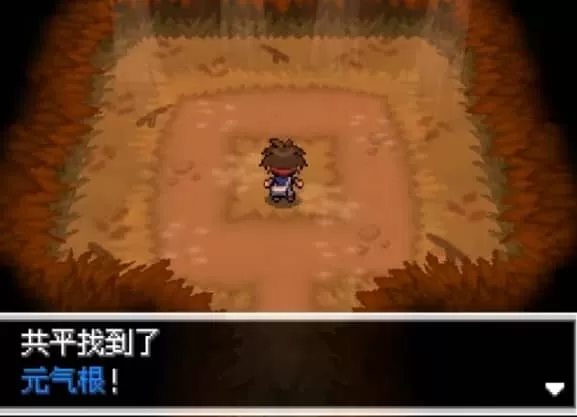 口袋妖怪超透黑