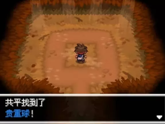 口袋妖怪超透黑